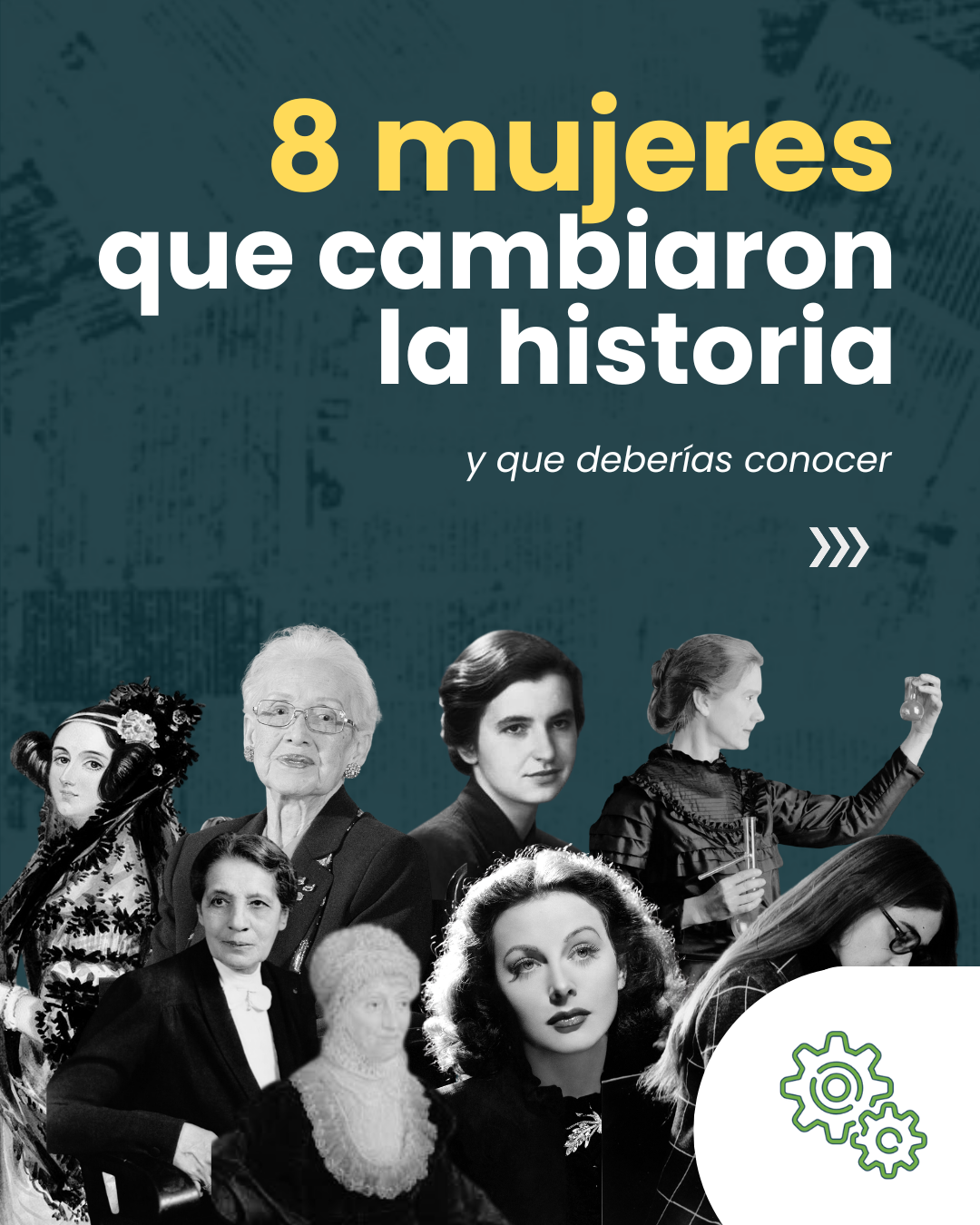 Novedad 6